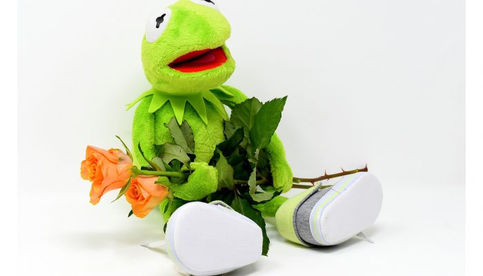 kermit-3155106_1280