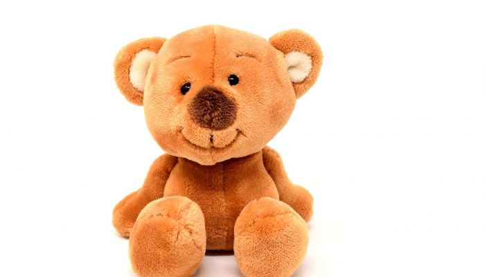 teddy-3117759_1280